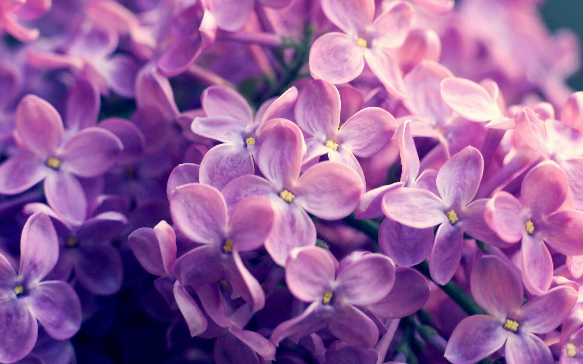 本泽马孤胆英雄,皇马逆袭德比上演复仇者归来!