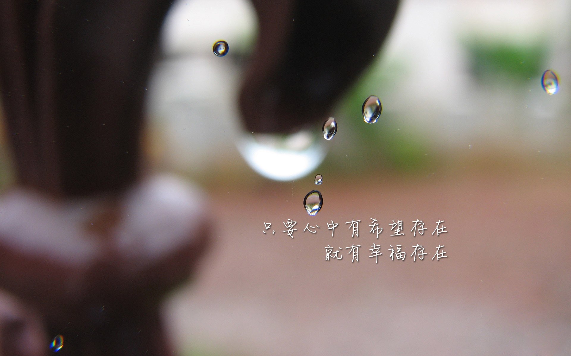 赛场如棋,贝恩落子定乾坤,公牛破局上海滩