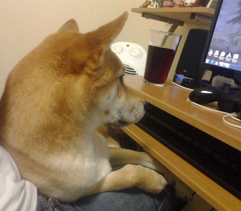 英格拉姆关键时刻觉醒,鹈鹕一波流席卷骑士锁定胜局