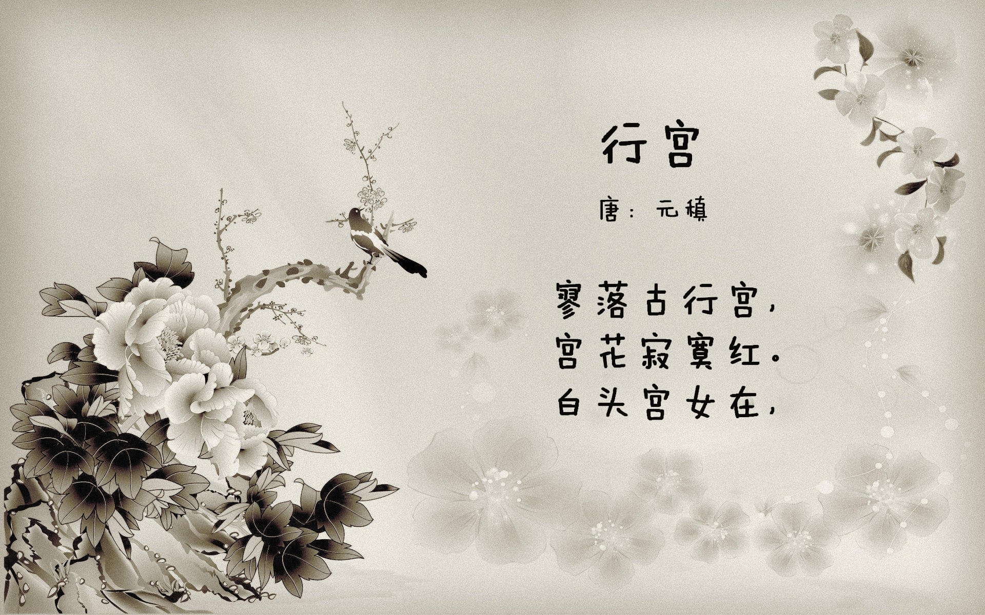 沙漠之风与伯纳乌星光,足球世界的偶然与必然