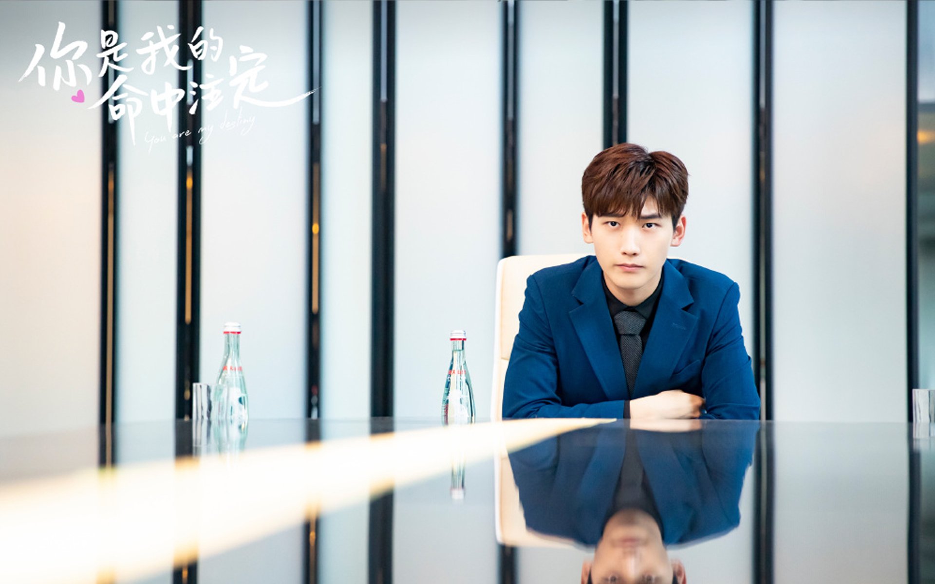 武切维奇总决赛狂飙，灰熊轻取太阳迎开门红