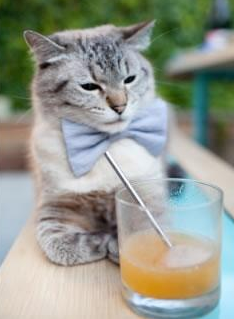 绝境突围,奥斯梅恩的爆发与牙买加奇迹—当唯一性照亮绿茵场