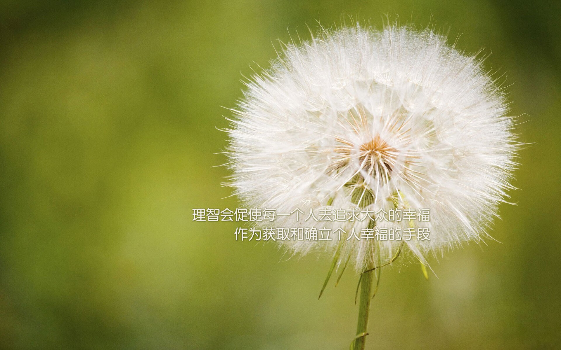 加勒比海风VS塞纳河畔,迪巴拉用一记绝杀写下自己的巴黎序章