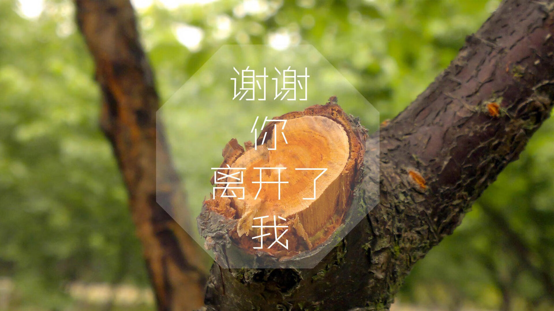 克莱·汤普森身披火箭战袍？平行宇宙的绝杀传奇