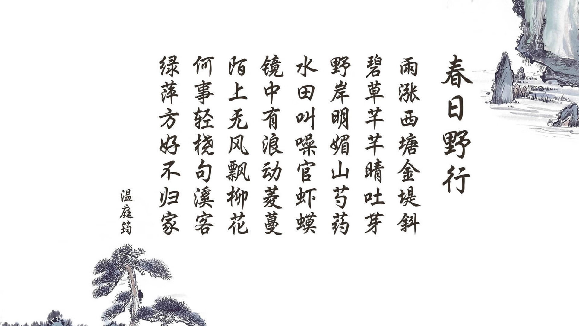 撕裂防守的独舞，欧文单骑斩落费城，森林狼西部崛起再添铁证