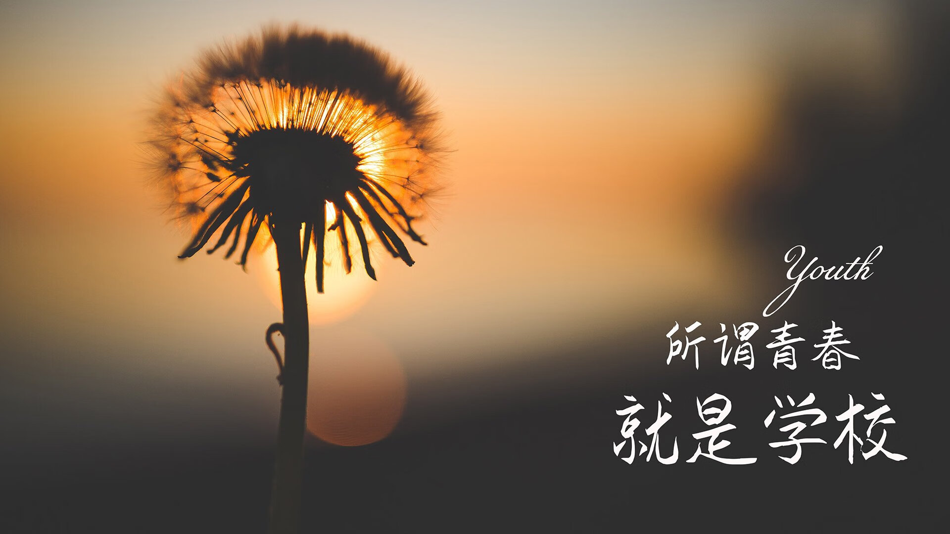 弑神者之夜,维尼修斯完成致命一击,挪威在G组书写唯一神谕