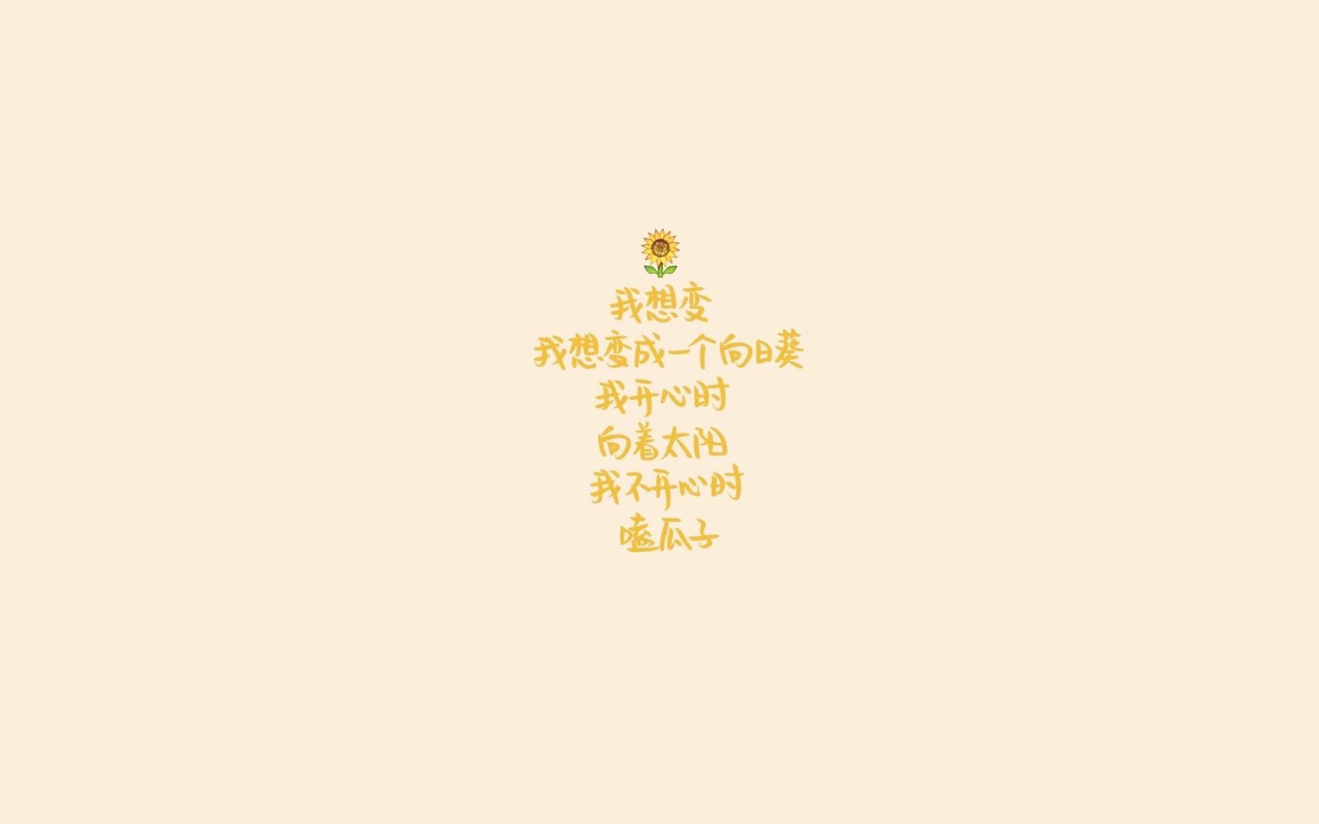 当不可能被刻进时间,2026世界杯D组,一场悖论中的真实胜利
