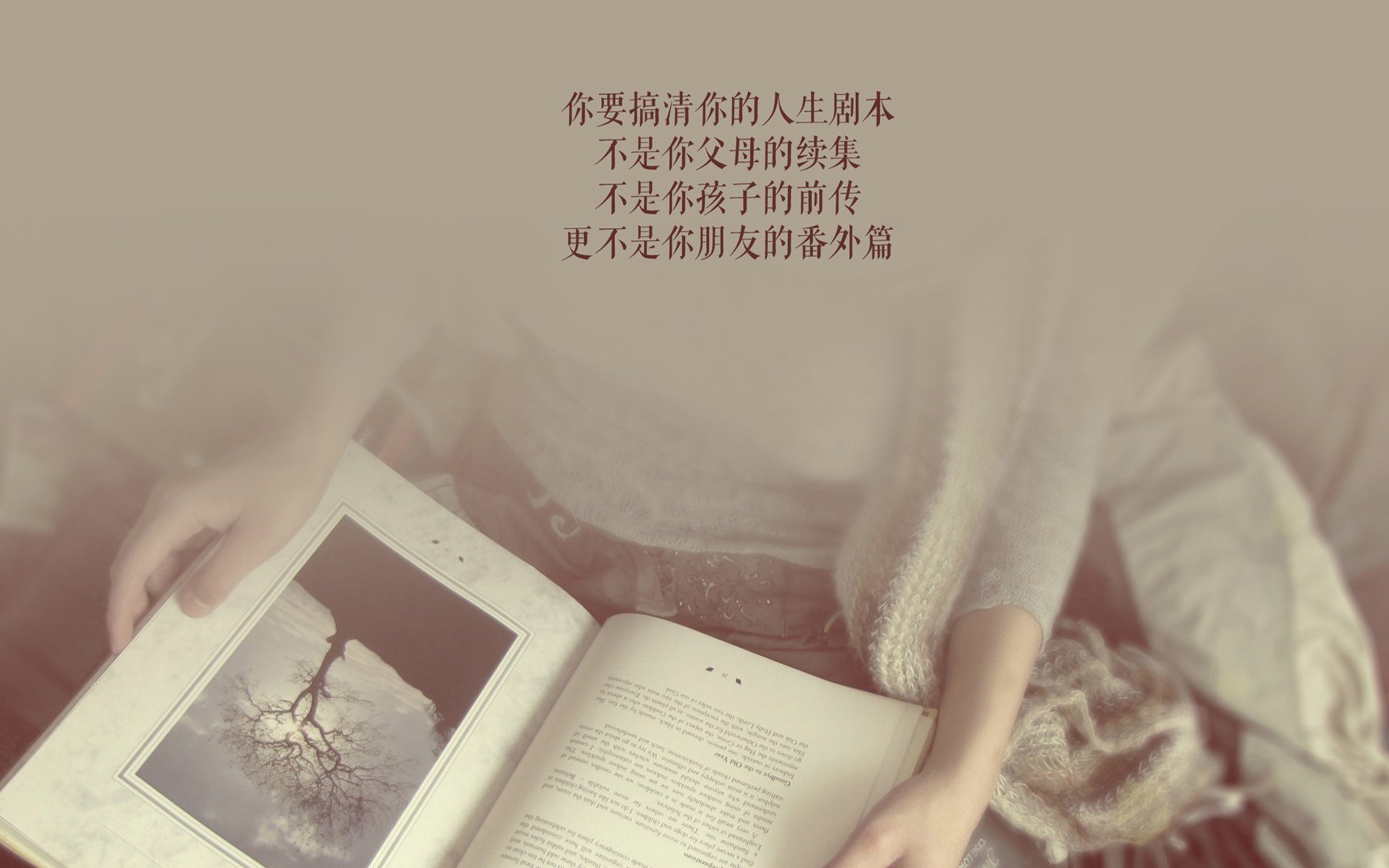 孤星耀世,凯恩的独行与墨西哥的风暴—一场非典型世界杯焦点战评述