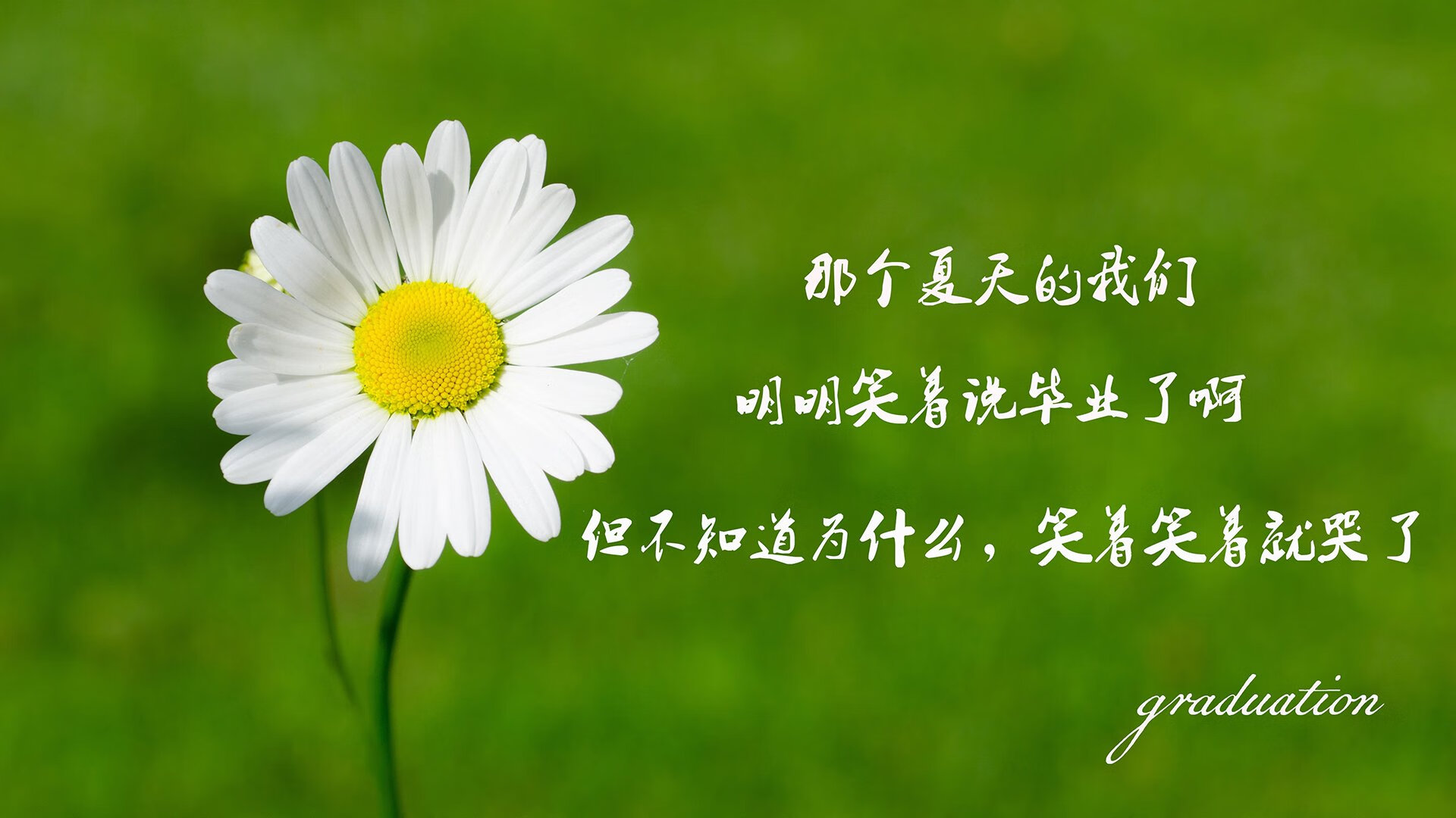 恒河之子的圣歌,当奥斯梅恩让北欧战船在沙漠搁浅